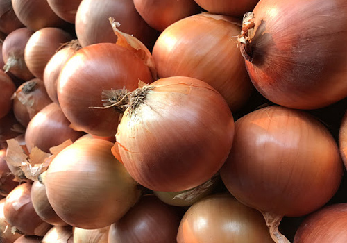 Fresh Onion