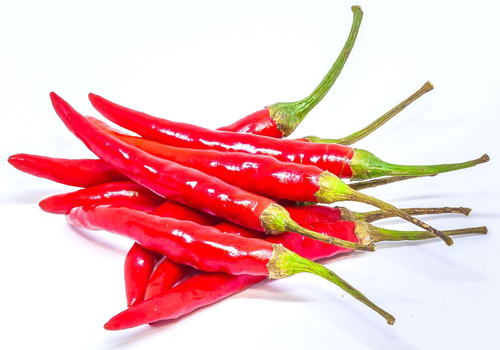 Fresh Chili 